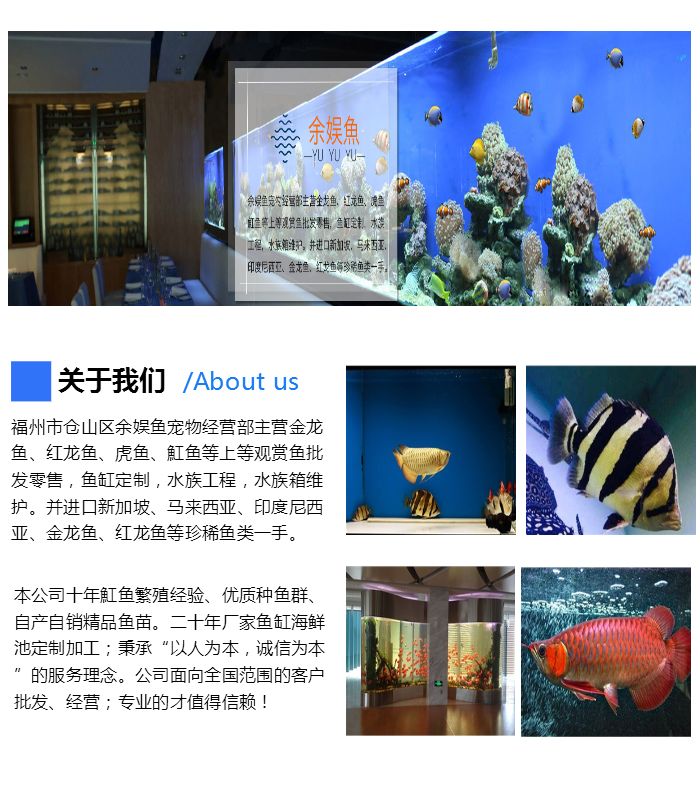 福州市倉山區(qū)余娛魚寵物經(jīng)營部
