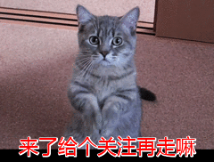 狗狗洗澡的流程圖_狗狗洗澡正確方法圖片_狗狗洗澡的正確方法