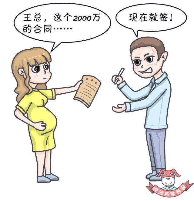 狗狗懷孕補充營養吃什么_狗狗懷孕吃些什么營養品_狗狗懷孕吃什么有營養