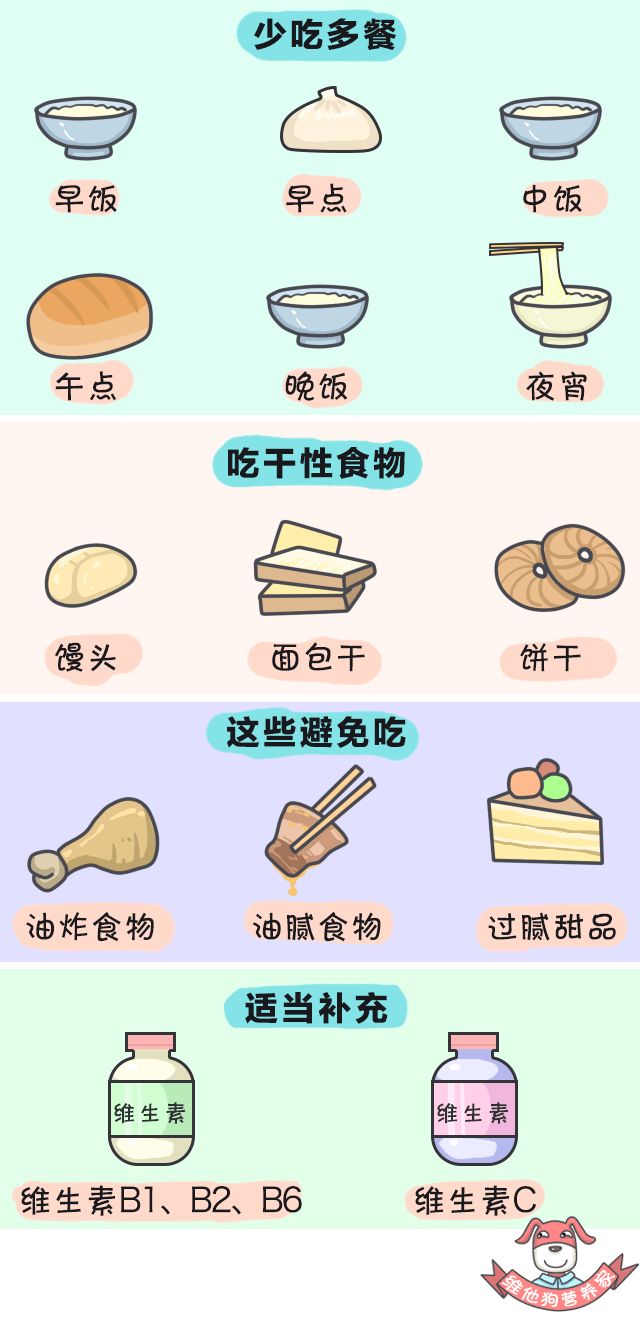 狗狗懷孕吃些什么營養品_狗狗懷孕吃什么有營養_狗狗懷孕補充營養吃什么