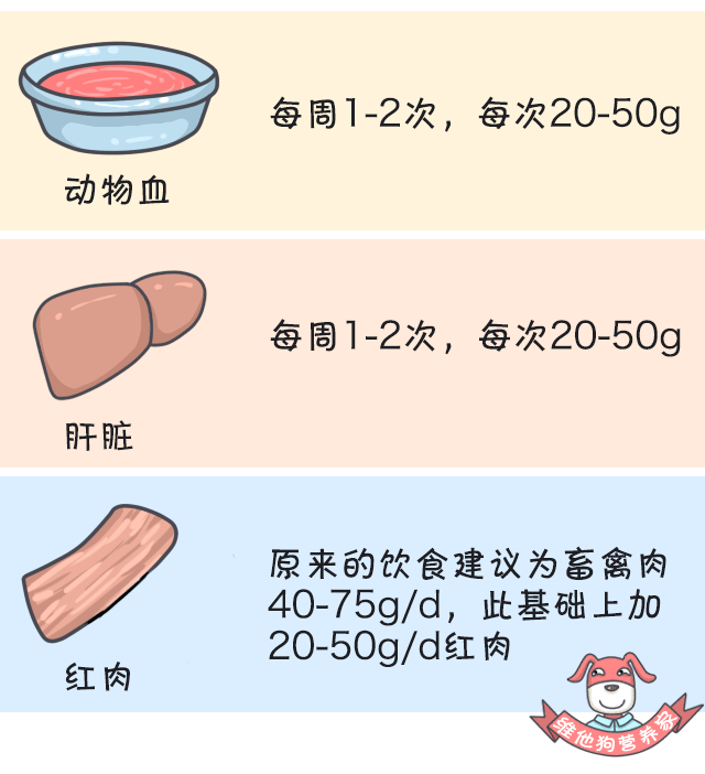 狗狗懷孕吃些什么營養品_狗狗懷孕吃什么有營養_狗狗懷孕補充營養吃什么