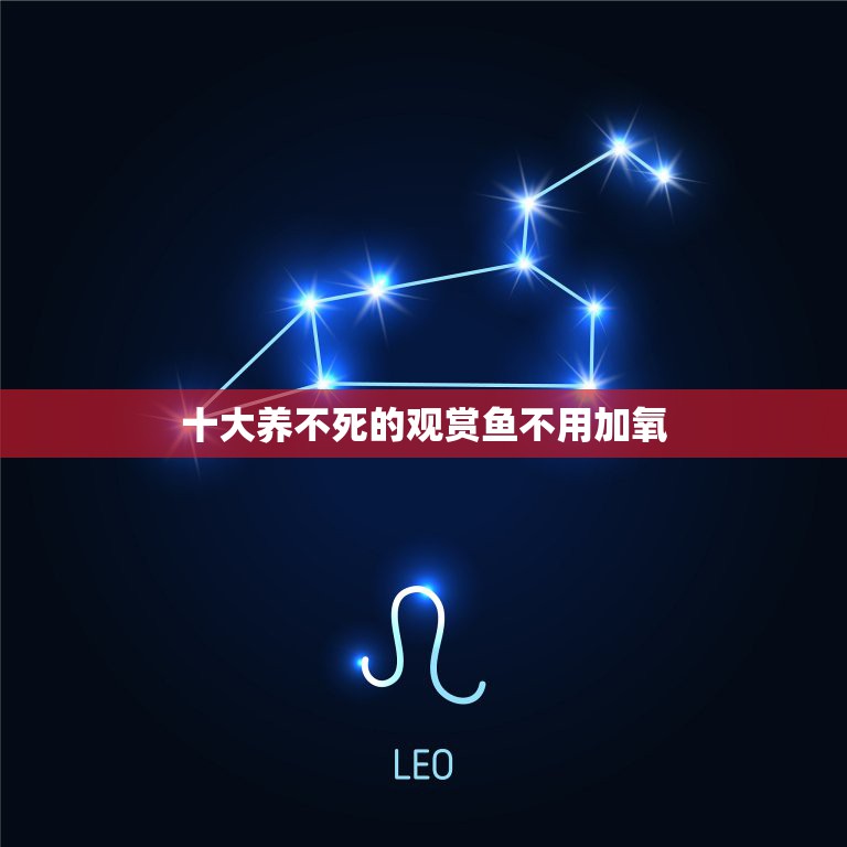 十大養不死的觀賞魚不用加氧，不需要加氧適合養什么魚？