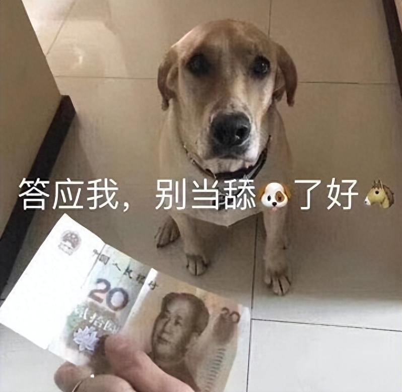 網(wǎng)上買狗哪個(gè)網(wǎng)站正規(guī)_網(wǎng)上買狗軟件_網(wǎng)上買狗可靠嗎
