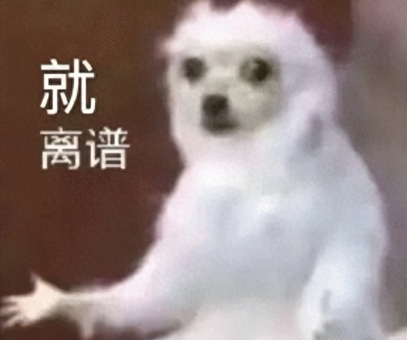 網(wǎng)上買狗可靠嗎_網(wǎng)上買狗哪個(gè)網(wǎng)站正規(guī)_網(wǎng)上買狗軟件