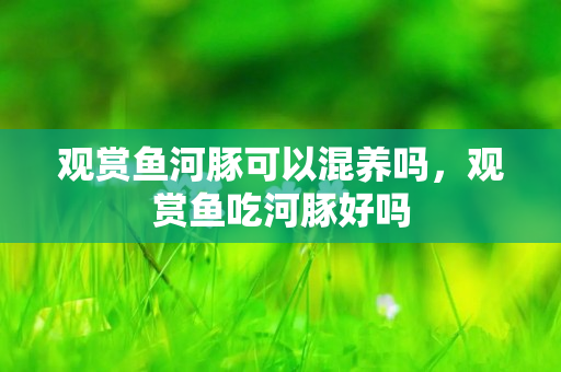觀賞魚河豚可以混養嗎，觀賞魚吃河豚好嗎