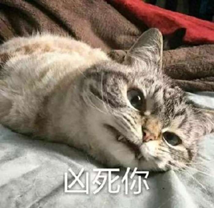 橫向排版怎么轉為豎向_橫向排版是什么意思_word如何橫向排版