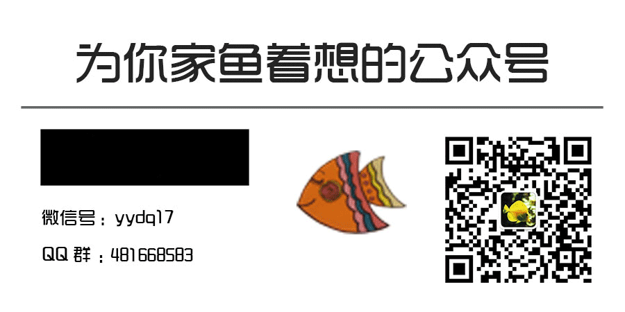觀賞魚不吃食是什么原因_觀賞魚為什么會吃觀賞魚_吃魚食的觀賞魚