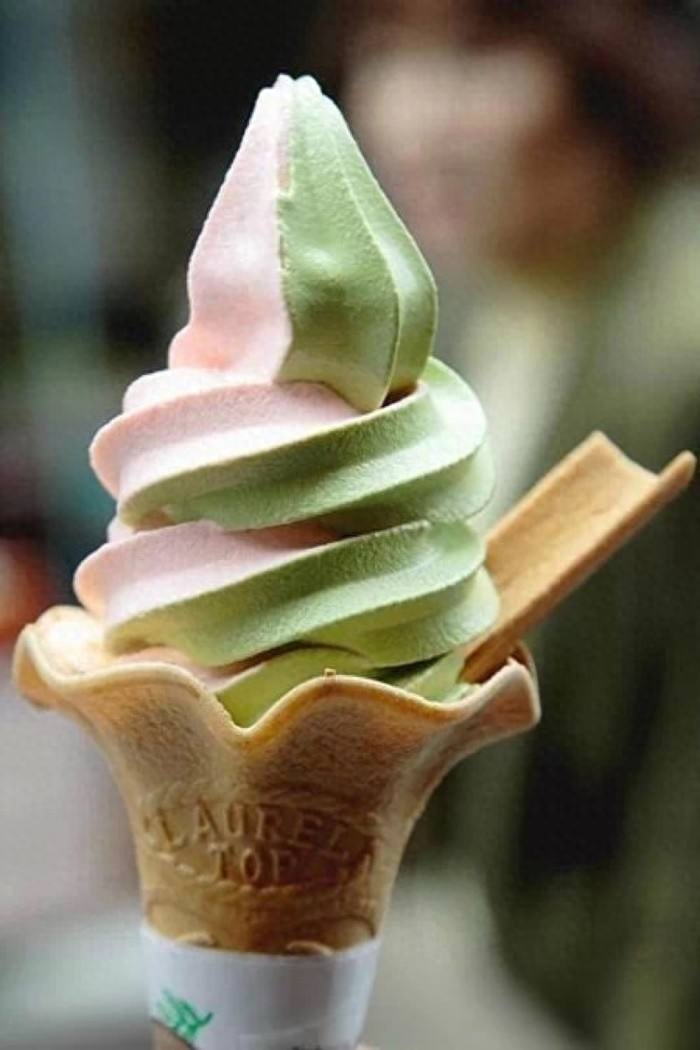 狗狗偶爾吃一次奶油可以嗎_狗狗能吃奶油吧_狗狗奶油吃可以消化嗎