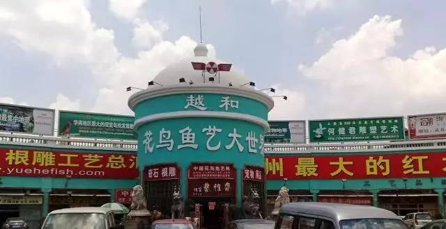 陪伴廣州人整整17個(gè)年頭的花鳥魚蟲市場(chǎng) 現(xiàn)在要告別了？