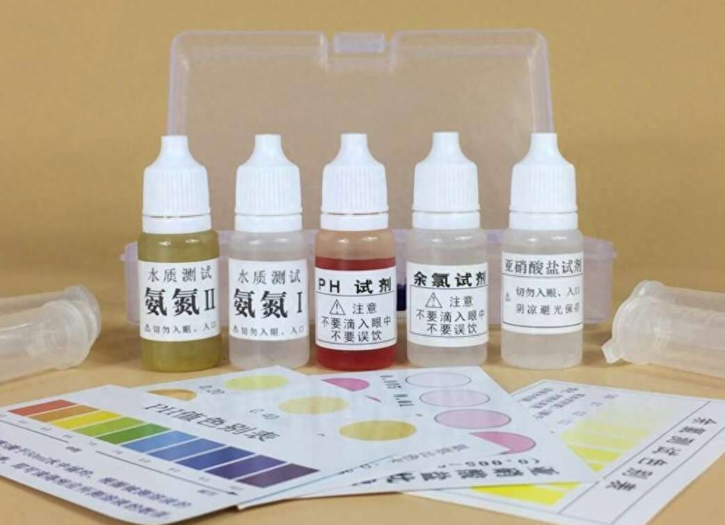 觀賞魚水養(yǎng)好用什么魚_觀賞魚用什么水養(yǎng)最好_觀賞魚水養(yǎng)好用什么