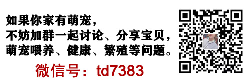 給狗打一針狂犬疫苗多少錢？