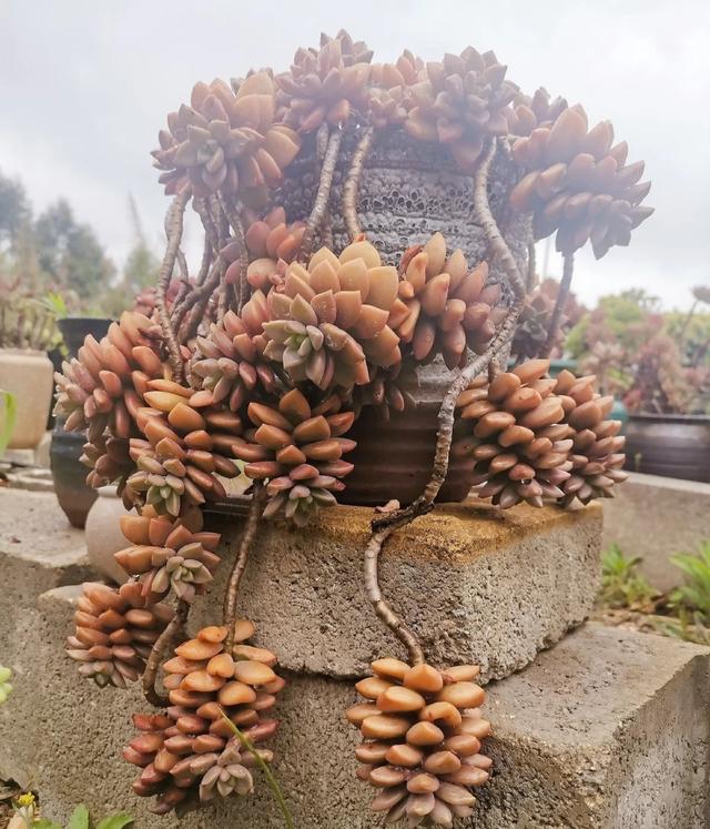 文章圖片3