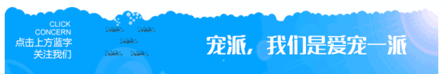 最漂亮的中型觀賞魚_觀賞中型漂亮魚品種_好看的中型觀賞魚