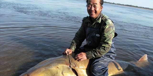 大型淡水觀賞魚_淡水中大型觀賞魚_觀賞淡水魚大型品種