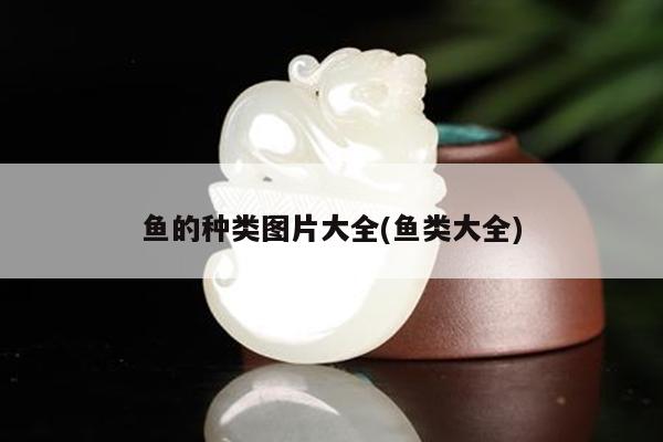 魚的種類圖片大全(魚類大全)