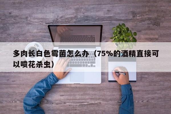 多肉長白色霉菌怎么辦（75%的酒精直接可