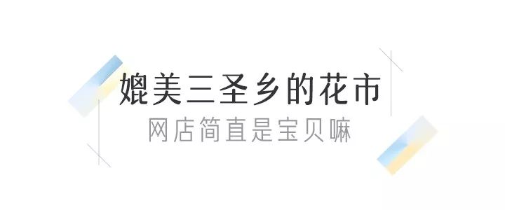 八尺鏡多肉_八尺鏡多肉_八尺鏡多肉