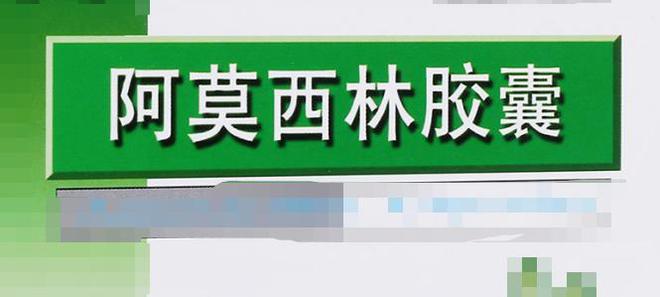 狗狗消炎可以喂阿莫西林嗎_狗狗可以吃阿莫西林消炎藥嗎_狗狗消炎藥吃阿莫西林可以嗎