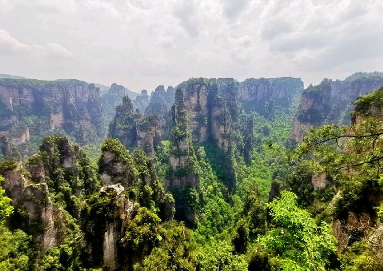 太原到張家界旅游五日游的價格_太原到張家界自駕游旅游攻略_太原去張家界自駕游