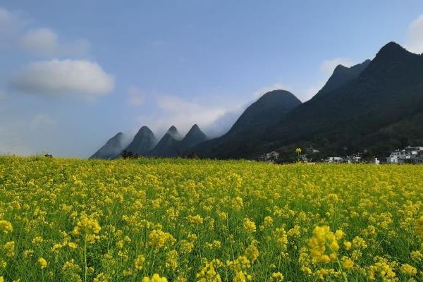 貴州旅游景點萬峰林_航拍貴州萬峰林_貴州萬峰林風景區旅游攻略
