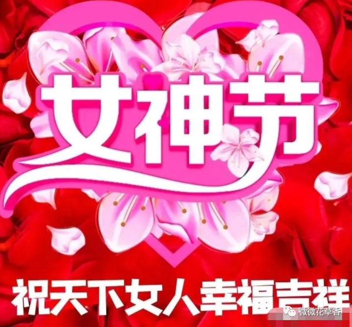 三八婦女節(jié)語句_婦女節(jié)語錄_婦女節(jié)的話語暖心簡短