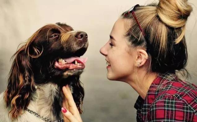 狗狗能聽懂人說的話_狗能聽懂人說話不_狗狗能聽懂人說話嗎