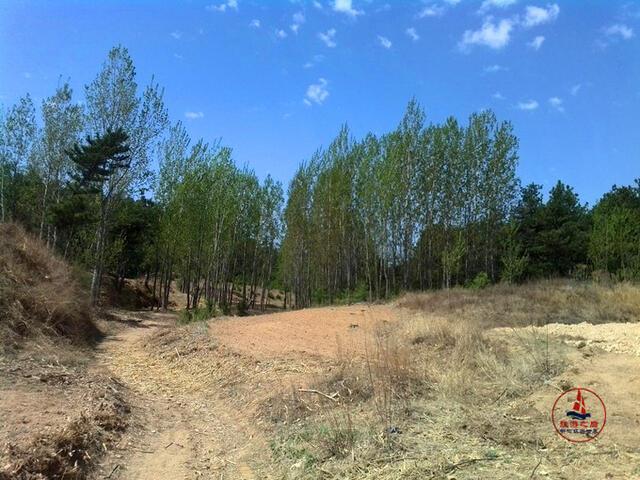 建昌龍?zhí)洞髰{谷旅游攻略_建昌龍?zhí)洞髰{谷風(fēng)景區(qū)攻略_龍?zhí)洞髰{谷建昌景點(diǎn)介紹