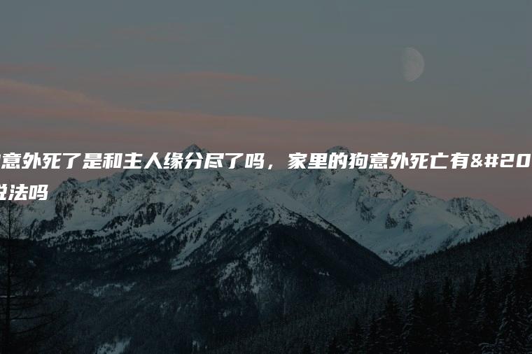 狗狗意外死了是和主人緣分盡了嗎，家里的狗