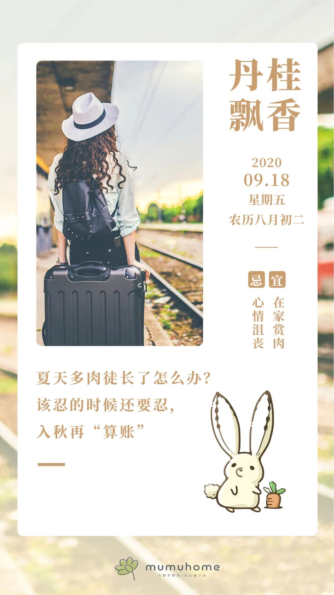 夏天多肉徒長不可怕，初秋及時“拯救”，深