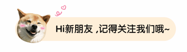 淡雪多肉種什么盆好看_淡雪多肉配什么花瓶好看_盆多肉是什么