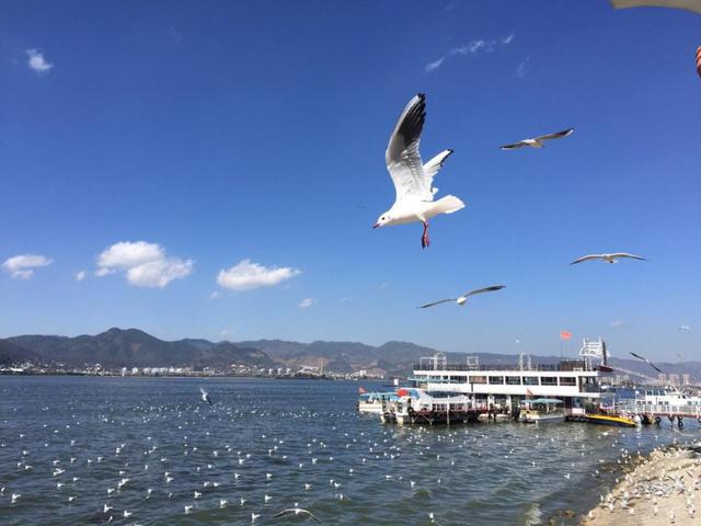 百度西雙版納旅游景點_廣西西雙版納旅游景點攻略自由行_云南西雙版納旅游景點大全排行