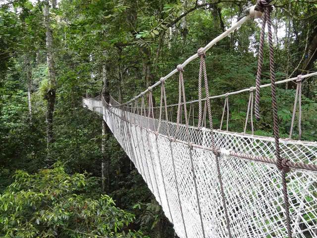 云南西雙版納旅游景點大全排行_百度西雙版納旅游景點_廣西西雙版納旅游景點攻略自由行