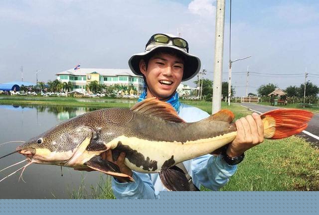 觀賞魚鯰魚招財貓_觀賞招財貓鯰魚魚苗圖片_招財貓鯰魚
