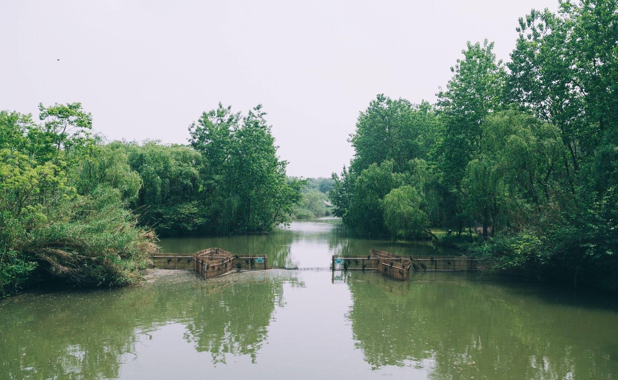 溱湖濕地公園導游圖_溱湖濕地公園游記_溱湖濕地公園游玩攻略