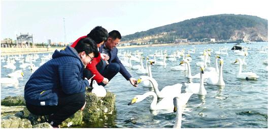 威海攻略旅游三日游_威海三日游最佳路線_威海三日游自由行攻略