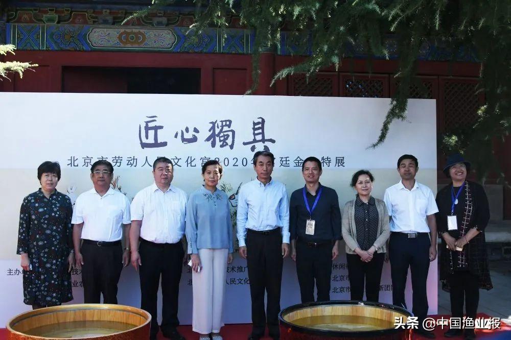 十二省市匠心薈聚，上千尾金魚爭妍斗奇