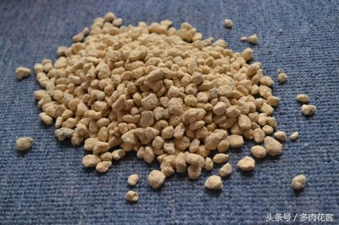 玩轉(zhuǎn)多肉植物系列，種肉石頭篇，赤玉土是什么土，有什么用呢？