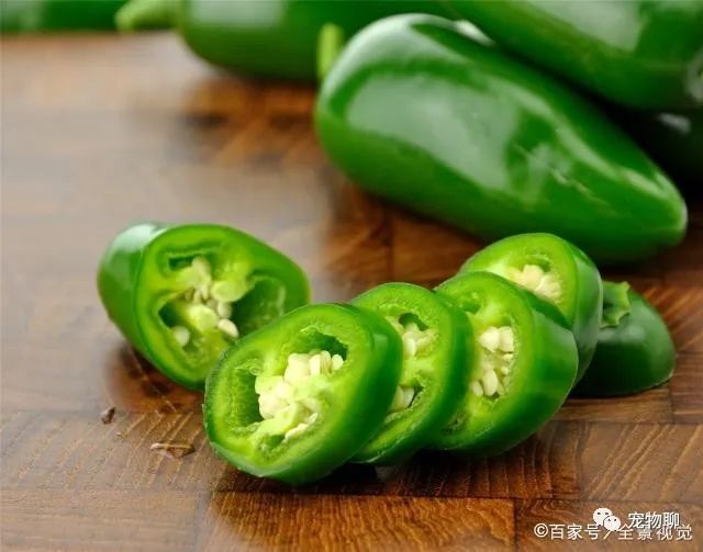 狗狗蔬菜吃可以補鈣嗎_狗狗吃蔬菜水果嗎_狗狗可以吃什么蔬菜
