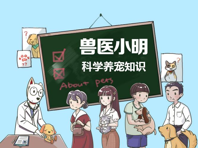狗狗體溫、心率和呼吸頻率有異？這些小知識(shí)你知道嗎？