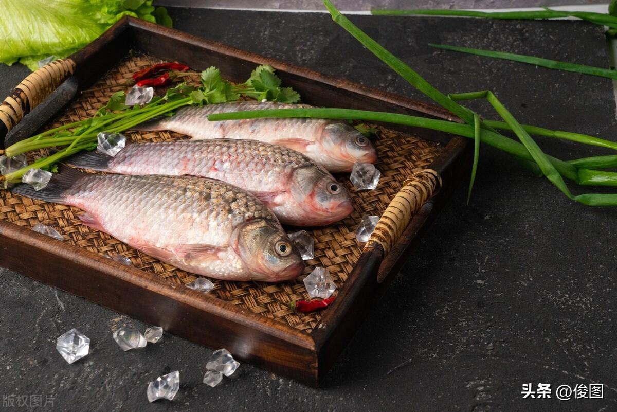 一條4斤的觀賞魚，賣了400多萬，解讀高價背后的原因