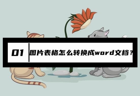 圖片表格怎么轉(zhuǎn)換成word文檔？教你轉(zhuǎn)換的4個技巧