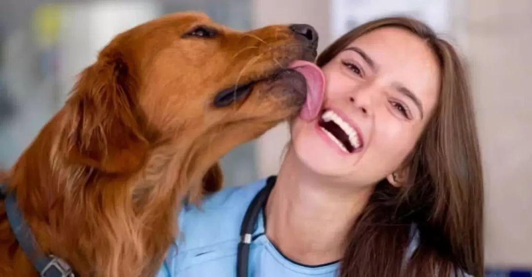 狗狗舔人是什么意思啊_舔狗的意思是什么意_人們說的舔狗是什么意思