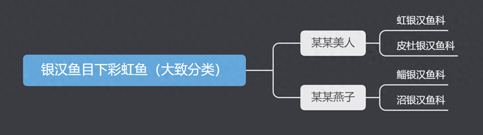 那些被冠以“美人”之名的觀賞魚