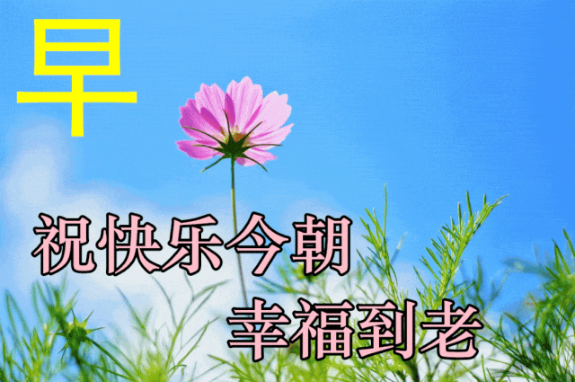 同事離別祝福_婦女節祝福語簡短優美給同_三八婦女節祝福同事