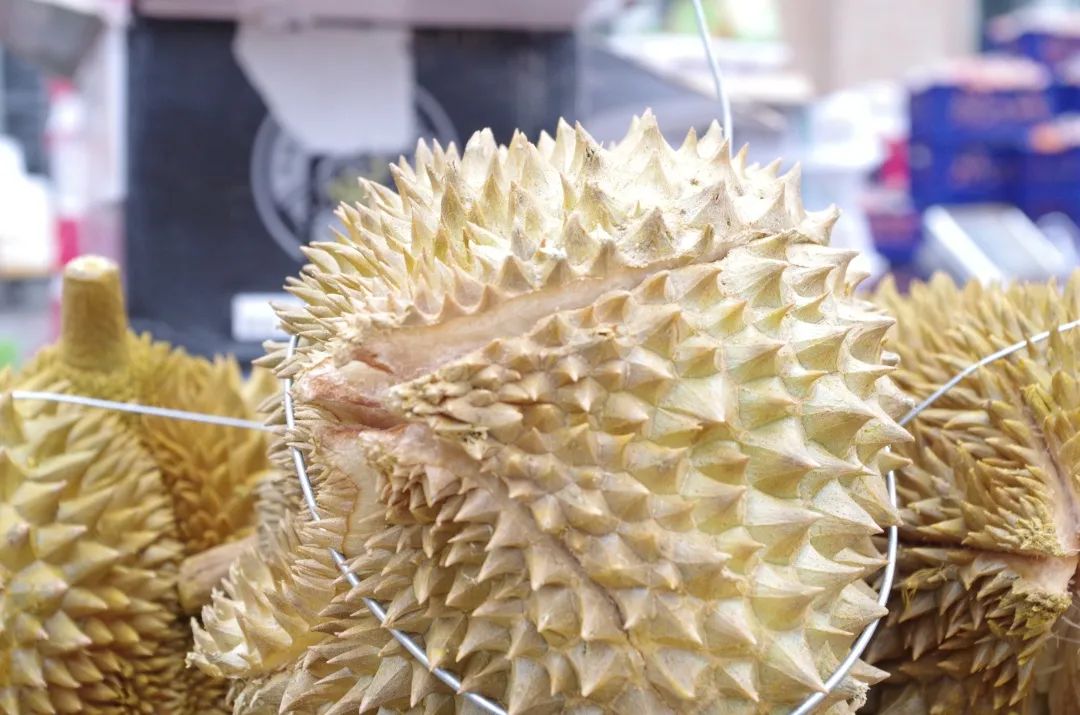 觀賞魚批發(fā)市場(chǎng)進(jìn)貨_哪里可以批發(fā)觀賞魚_批發(fā)觀賞魚可以買嗎
