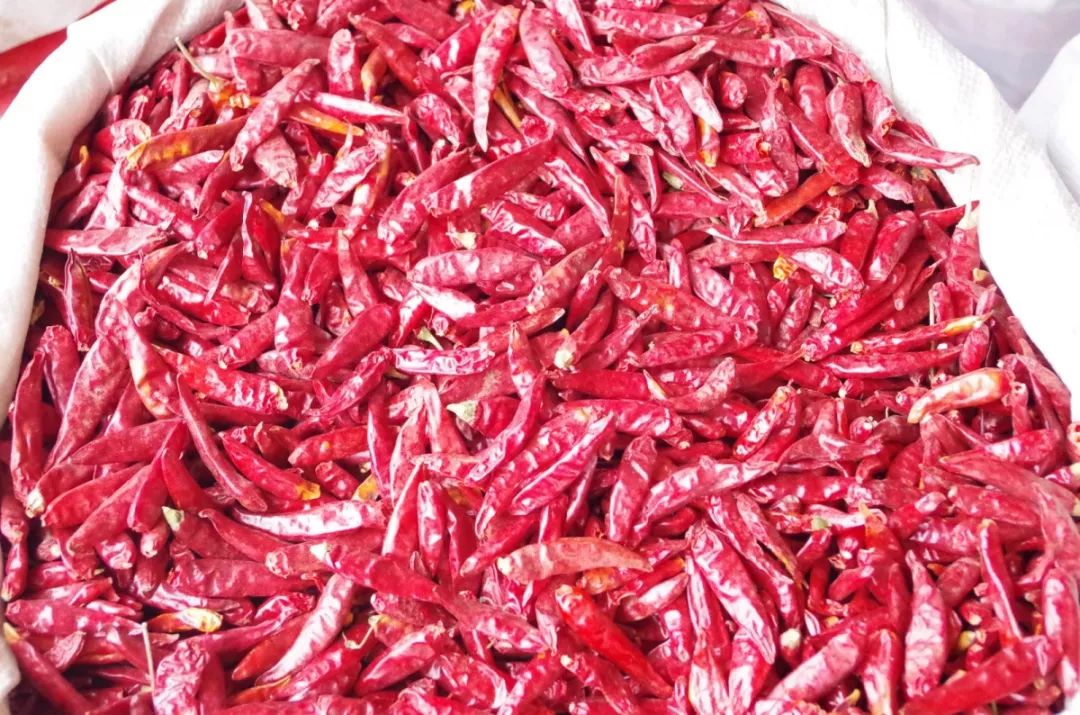 觀賞魚批發(fā)市場(chǎng)進(jìn)貨_哪里可以批發(fā)觀賞魚_批發(fā)觀賞魚可以買嗎