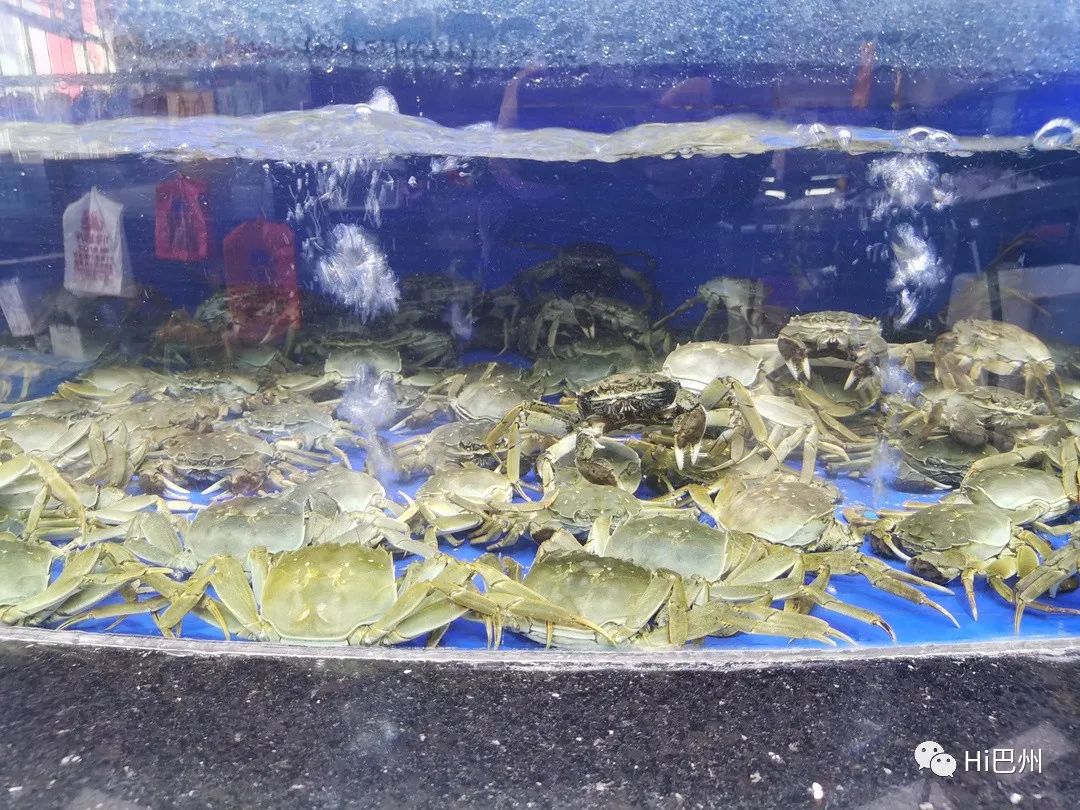 批發(fā)觀賞魚可以買嗎_哪里可以批發(fā)觀賞魚_觀賞魚批發(fā)市場(chǎng)進(jìn)貨