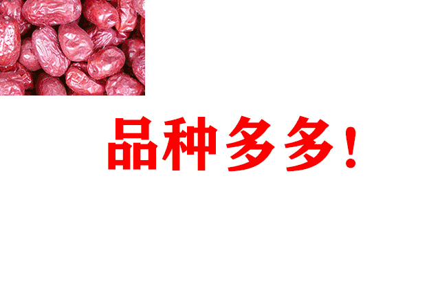 觀賞魚批發(fā)市場(chǎng)進(jìn)貨_批發(fā)觀賞魚可以買嗎_哪里可以批發(fā)觀賞魚